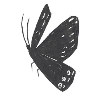 cf26f34 5da8 f5b 048b d3ef1223403 butterfly